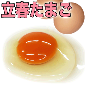 【立春たまご】 濃厚卵・若鶏小玉食べ比べセット