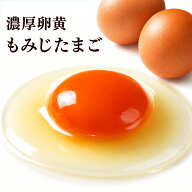 濃厚卵黄 もみじたまご 【40個入り】