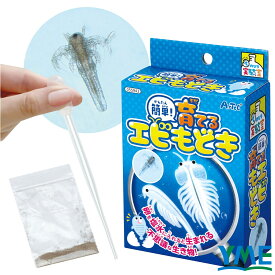 自由研究 実験キット アーテック 簡単!育てるエビモドキ クラフト サイエンス ハンドメイド 制作 夏休み 子ども 学校 学習 実験 小学生 工作 手のひら実験室 手作り 授業 教材 理科 科学 簡単 育てるエビモドキ 観察 55943