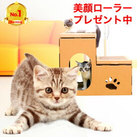 【美顔ローラープレゼント中！】【楽天1位！】キャットハウス ダンボール 作り キャットタワー 猫 グッズ おもちゃ ベッド 爪とぎ ケージ おしゃれ 猫用 猫ハウス 段ボール ペット用品 収納 組立 簡単 送料無料