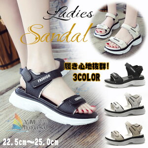 T_ fB[X Xj[J[T_ X|[cT_ t rT_  r[`V[Y   ₷ Ȃ