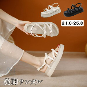 T_ fB[X T_ n 5cmq[ T_ X|[cT_ y  ₷ ɂ rT_ ₷   x[W w s ʋ X|T 