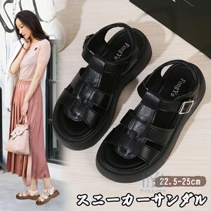 Xj[J[T_ fB[X T_  _bhV[Y   T}[ X|[cT_ Ȃ T_ EFbW\[ r[`T_ Xj[J[ T_ ʋC r