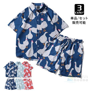 Vc Y ZbgAbv W[W  V[gpc ㉺Zbg ĕ gbvX [EFA JWA  Yt@V Ђ _bN nC X|[cEFA 