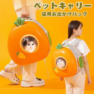 ybgL[ ybgobO LpoobN lQ^ ^p bN lR L[obO  t ʋCǂ L[ L[P[X ybgpL[ UobO P