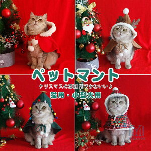 L }g NX}X ybg ybg RXvߑ ^ RX`[  ϑ L ybg̉ [NX}X͋C p[eB[ ybg}g ʐ^ Be l