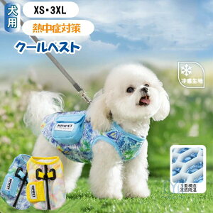 xXg ybg p N[xXg MǑ΍ 􂦂 Ђ xXg [ht ybgpi  O΍ ĕ N[ pxXg ΍ ̕ t ėp Ăh~ Ђ