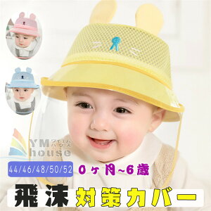  tFCXV[h Ԃ qnbg lY~ tX hX xr[Lbv V Xq bV^Cv tFCXK[h ԕ΍ AEghA O