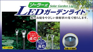 XeX@\[[LEDK[fCg@SV-4465@12{X^CbVȃK[fCgły撣đIz