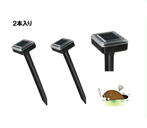 IdrvȂ̂ŌoϓIIiSV-5141j\[[ Oފ 2{ gUłEQb܂I