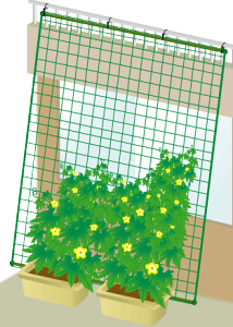 DAIM@΂̃J[e@5m݉^Cv@Ch180cm@