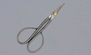 SLD| (񂹐A) 180mm@ꂽEl̋Z ؂낱сylR|XzzyEł撣đIzԉ݂̂͂ł!