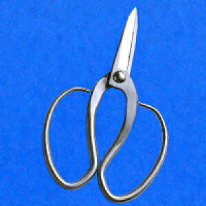 SLD| nv 200mm@ꂽEl̋Z ؂낱сylR|XzzyEł撣đIzԉ݂̂͂ł!