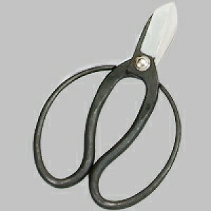 YCS3| ԉ(×) 165mm@ꂽEl̋Z ؂낱сylR|XzzyEł撣đIzԉ݂̂͂ł!