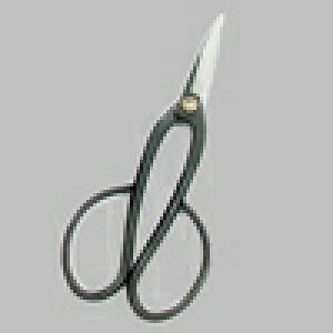 YCS3| ~(A) 200mm@ꂽEl̋Z ؂낱сylR|XzzyEł撣đIzԉ݂̂͂ł!