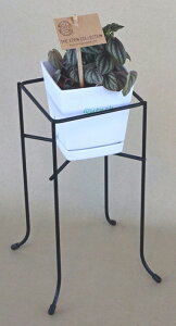 �Z���g�w�����v�����^�[�X�^���hNo.32612×12×����28cm �[��8cm �ω׏d3kg ���΍��ʋC��UP�ɂ҂�����ʐ^�̃v�����^�[�͕t�����܂���