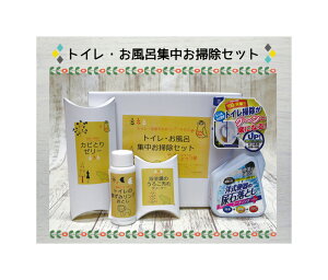 gCECW|ZbgiSET-002j_Chpbh̗؏󍭗ƂN[i[AJr[[AgC̍݃OƂAAΗƂN[i[4_ZbgBM