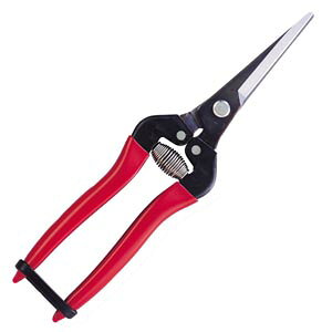 �A���X�@�E�����@�G�N�X�g�������O�^�C�v�@300-LL-BP