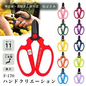 nhNG[V@F170@nV[YiS11FjmF-170BKnOsb⌹ؓƁEԉpB̉ԐBtbfH×ndlőϋv̓AbvIlR|Xz