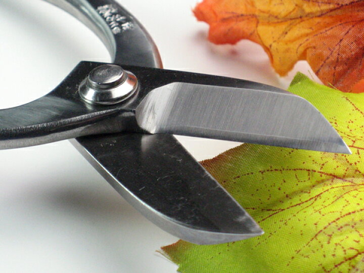 楽天市場 坂源 坂源 ステライト花鋏 ハサミの革命刃先は絶対に錆びません ステライト合金 池ノ坊165ｍｍ 頑張って送料無料 村の鍛冶屋