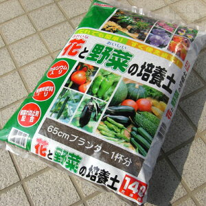 ԂƖ؂̔|{y 14Li4943371003019j`NłJ^Ig܂I`