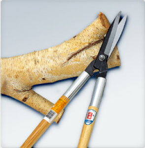 hEJ@pC15mmؒf\0101