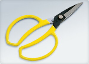 hEJ@؉͂no.0312@DK-630