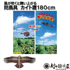 �y�撣���đ��������I�z�h���� �J�C�g�遃KD-180������������180cm�ƍL�����ňЊd�I�{���̑邻������łǂ�Ȓ����т�����I