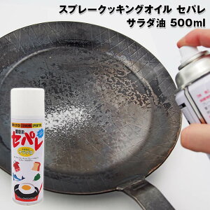 y4237200zXv[NbLOIC@Zp@T_@500mlXv[^CvȂ̂Ŏ^т₷Igp񐔖1000񕪃tCpAXLbgɃXv[邾