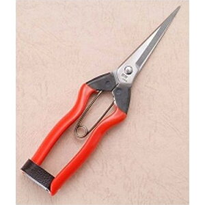 ѐ zH XeX nE 200mm J-2