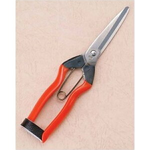 ѐ@zH@XeXn@200mm@J-3