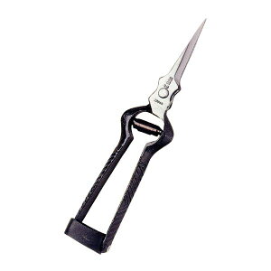 ѐ@zH@VmMt 180mm@K-3