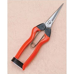 ѐ@zH@XeX@E@185mm@K-9