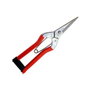 ѐ@zH@XeX@EiXeXol)@S-1