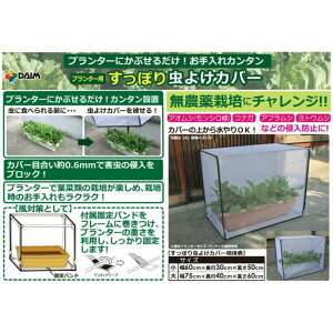 DAIM ۂ蒎悯Jo[  75cm×s40cm×60cm 悯  hlbg Q ΍ hJo[  ƒ؉ | lbg Jo[ Lbg ؍ x_    (h )