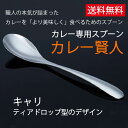 【入荷しました！】NHK【鶴瓶の家族に乾杯】で紹介！【送料無料】 カレー専用スプーン カレー賢人「キャリ」193mm CK-11C＜山崎金属工業 YAMACO＞ネコポス配送 黄金比をつくる皿形状でルゥ、具材、ライスが絶妙な配分に！口に入れた時に最適な角度。※箱はつきません。