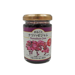 OscY@icn[W@140g Vcn̎Rň܂ꂽʎg܂I