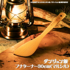 yDGM-008z_W ui^[i[30cmi}Vjw_WсxLN^[ƃSCO