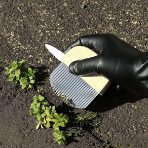 m@G킵@zWzWmNO.2501nЕxcnb{΍ۂ~΂Ԃ̎GɍœKBRNAXt@głKKg܂IlR|XzyEł