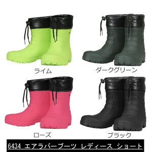 6434 GILIO MI Cu[c C y nCubhEVA |  GAo[u[c V[g fB[X 