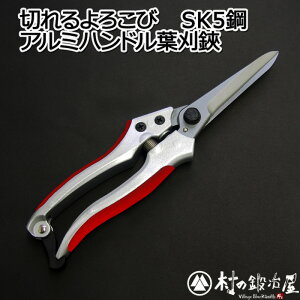 SK5| A~nh@t 240mm@ꂽEl̋Z ؂낱сylR|XzzyEł撣đIzԉ݂̂͂ł!