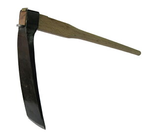 cHꐻ@琬 ^PmRL 240 n b|t ؕ 90cm@ؕOځ@AD-318̂ɂ͂I