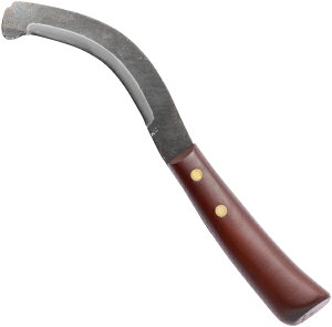 撣đIcHꐻ@琬 fUC_Sairen(ʊ) f^Cv@芙 Ep AD-908[ȑ芙B