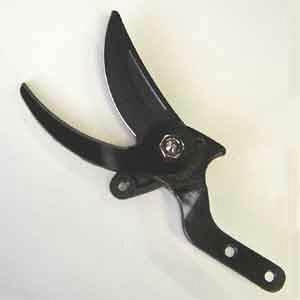 AX Lk}i180ZTR-1j^Cv֐n