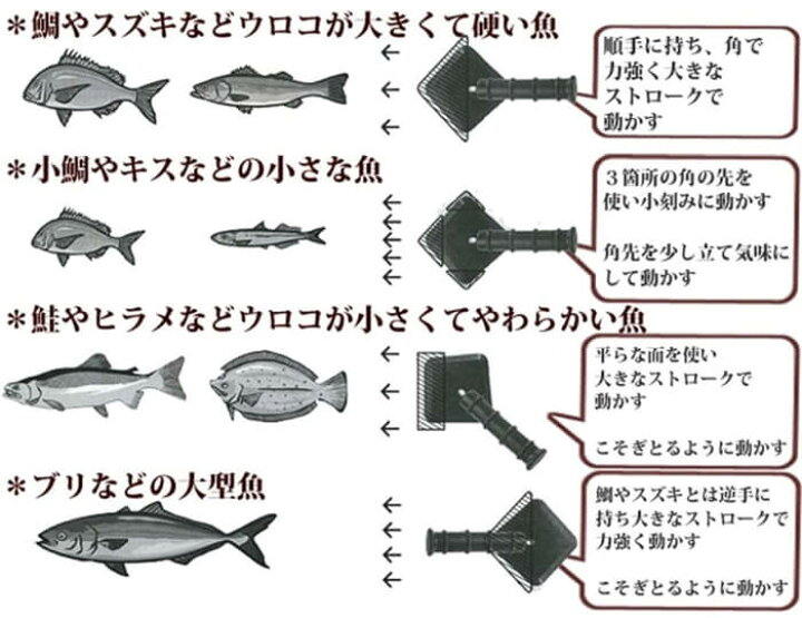 楽天市場 頑張って送料無料 うろこ取り 鱗トル スモール ブラック Pu 002 日本製 村の鍛冶屋