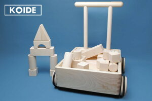 RCf { mߋ K25@Ԑϖ؈Sƒm琫{u̖؂̂SݓXŔ̔Ă邨ł