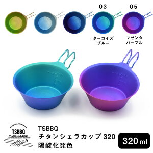 TSBBQ `^VFJbv320@z_F@^[RCYu[E}[^p[v@N₩ȃOf[VJ[@y撣đIz