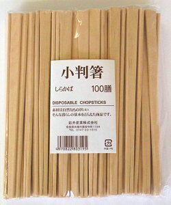 100{29081@@20.5cmƎg₷ʓIȊ蔢y撣đIz