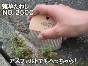 m@G킵mNO.2500nЕxcnb{΍ۂ~΂Ԃ̎GɍœKBGuVIRNAXt@głKKg܂IlR|XzyE