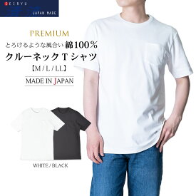 メンズ 半袖 Tシャツ カットソー クルーネック 丸首 綿100％ 日本製 天然素材 スビンプラチナム 白 黒 ゆったりサイズ 大きいサイズ M L LL ギフト プレゼント STKJ23-040